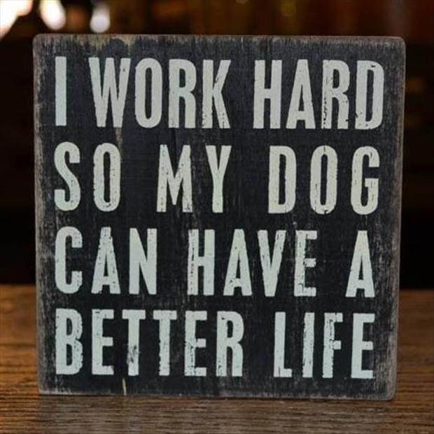 Name:  I-work-hard.jpg
Views: 1133
Size:  55.9 KB
