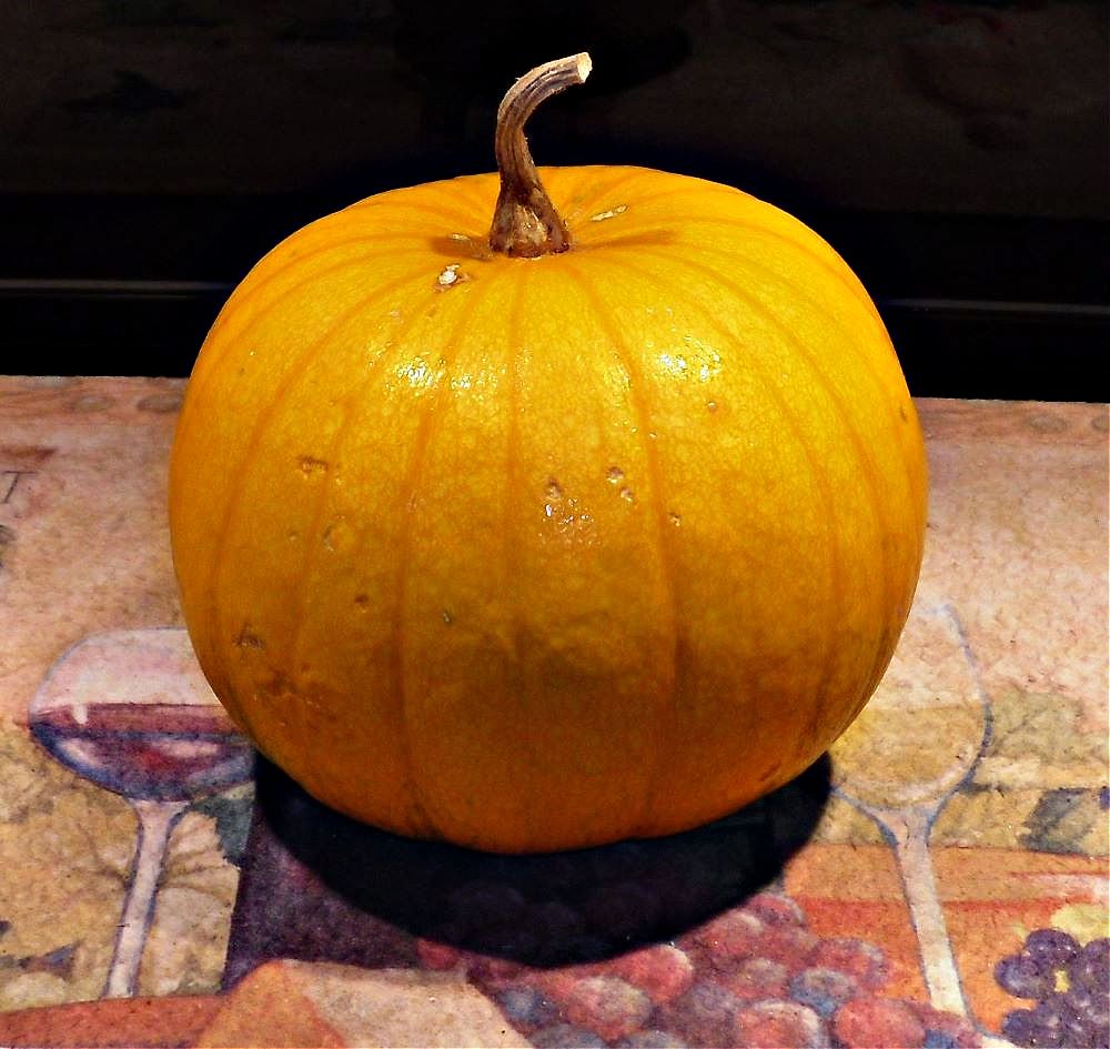 Name:  Pumpkin..jpg
Views: 3133
Size:  121.4 KB