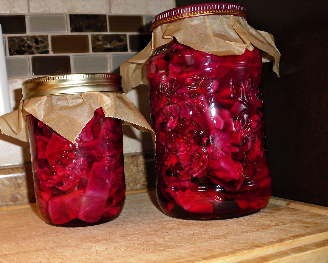 Name:  Red cabbage..jpg
Views: 2612
Size:  566.6 KB