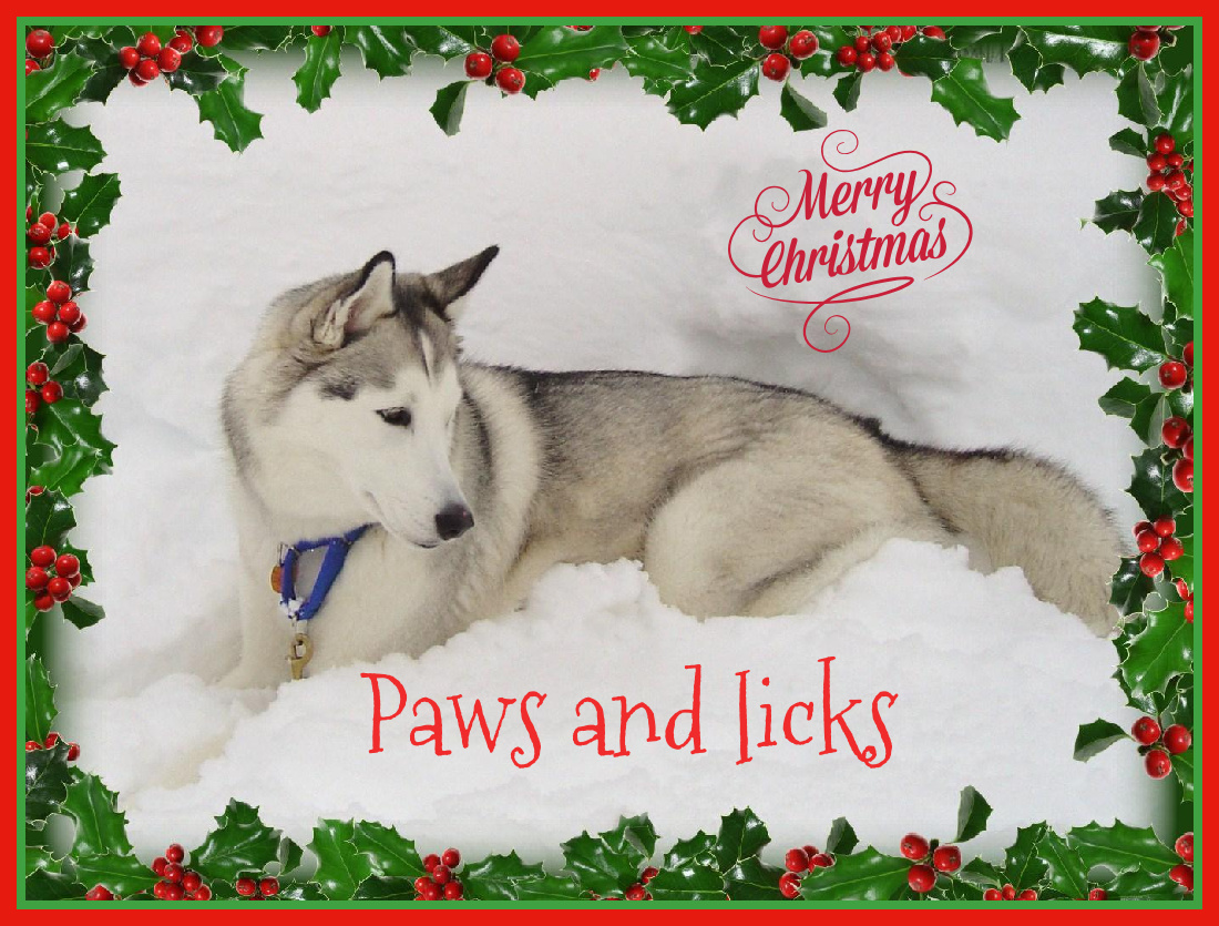 Name:  Paws and licks..jpg
Views: 422
Size:  414.8 KB