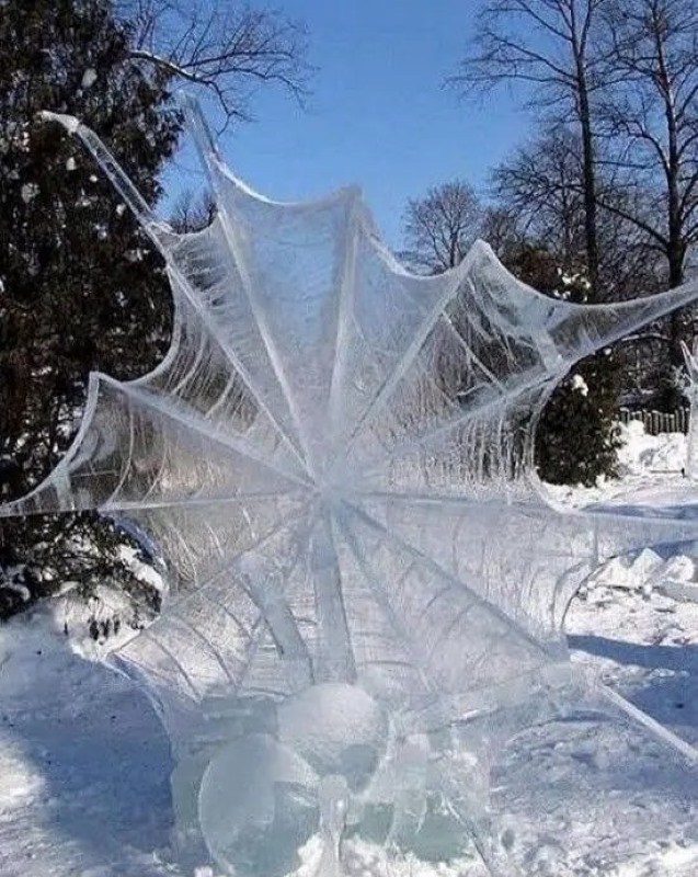 Name:  Frozen web..jpg
Views: 713
Size:  157.1 KB