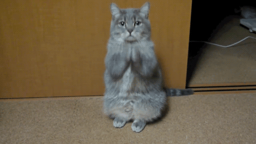 Name:  Please..gif
Views: 2582
Size:  499.7 KB