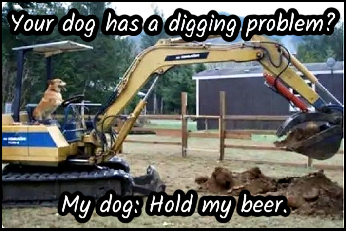 Name:  Digging. (1).jpg
Views: 2562
Size:  177.2 KB