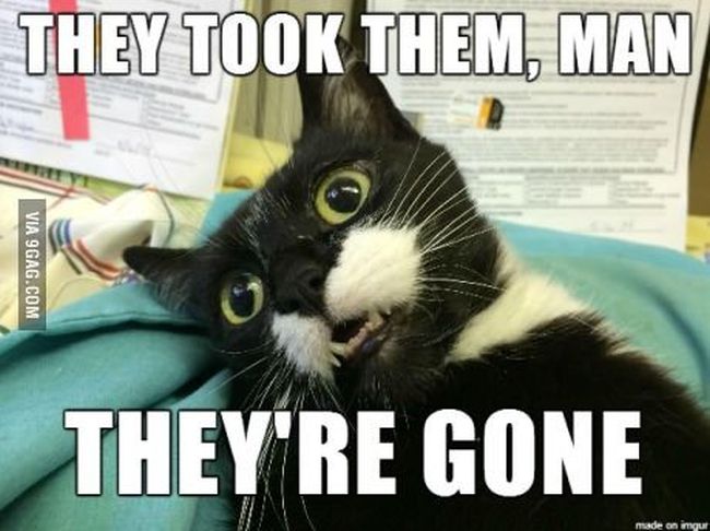 Name:  Neutered.jpg
Views: 552
Size:  53.0 KB