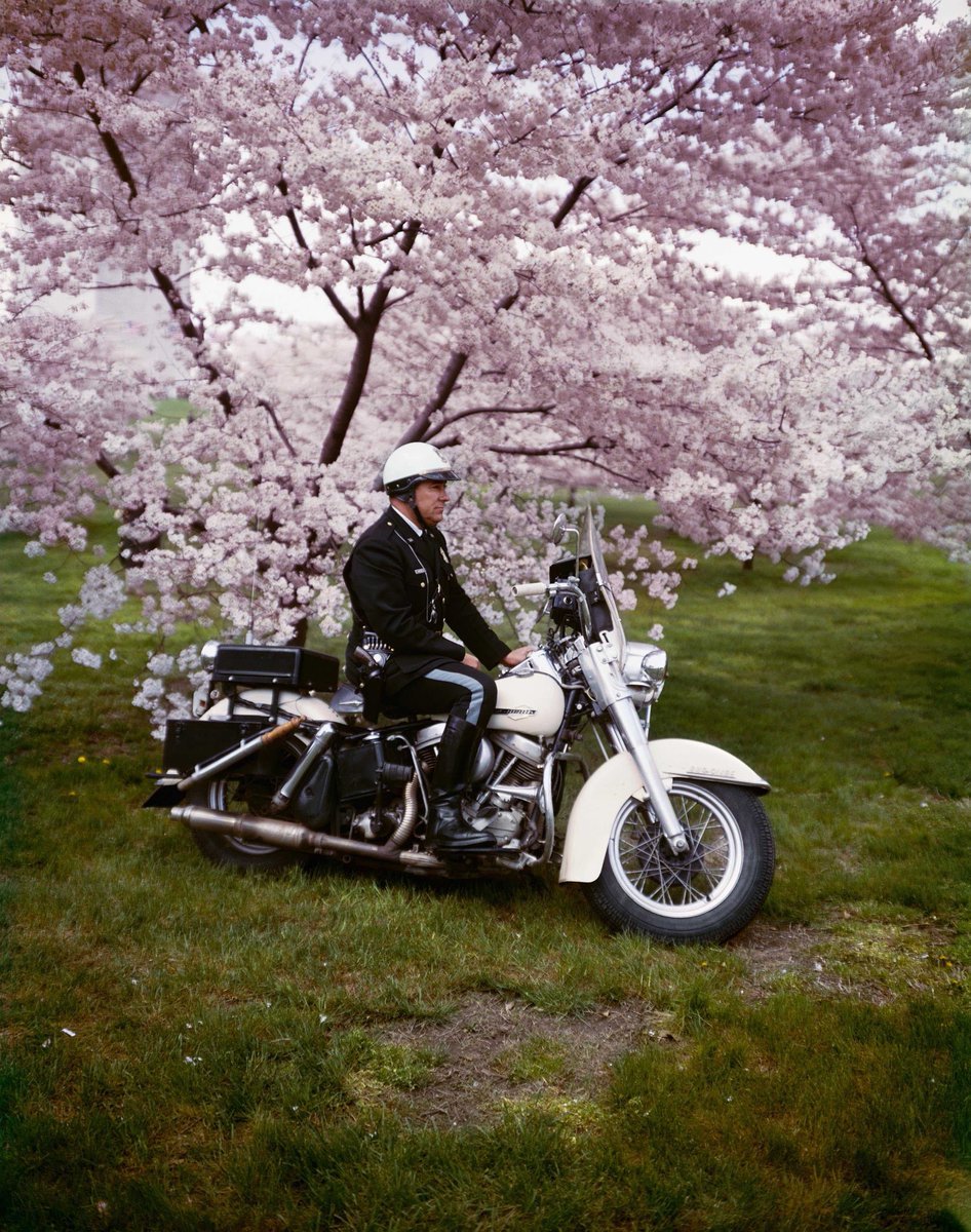 Name:  Police motor..jpg
Views: 4623
Size:  319.2 KB