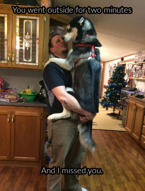 Name:  Dog (1).jpg
Views: 2171
Size:  128.0 KB