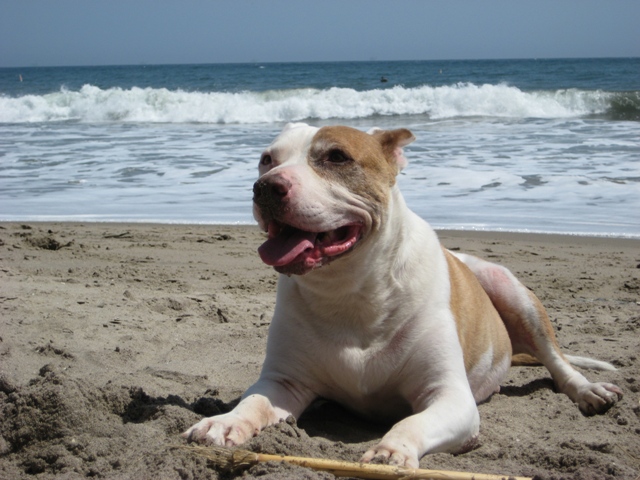 Name:  IMG_0288.JPG
Views: 19082
Size:  153.1 KB