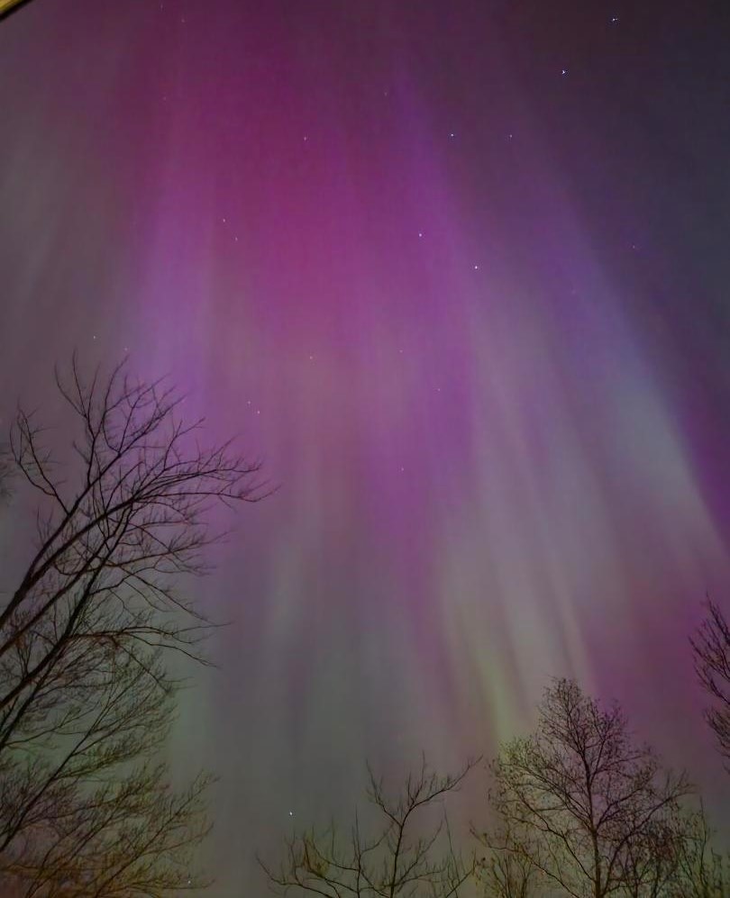 Name:  Aurora..jpg
Views: 436
Size:  89.6 KB