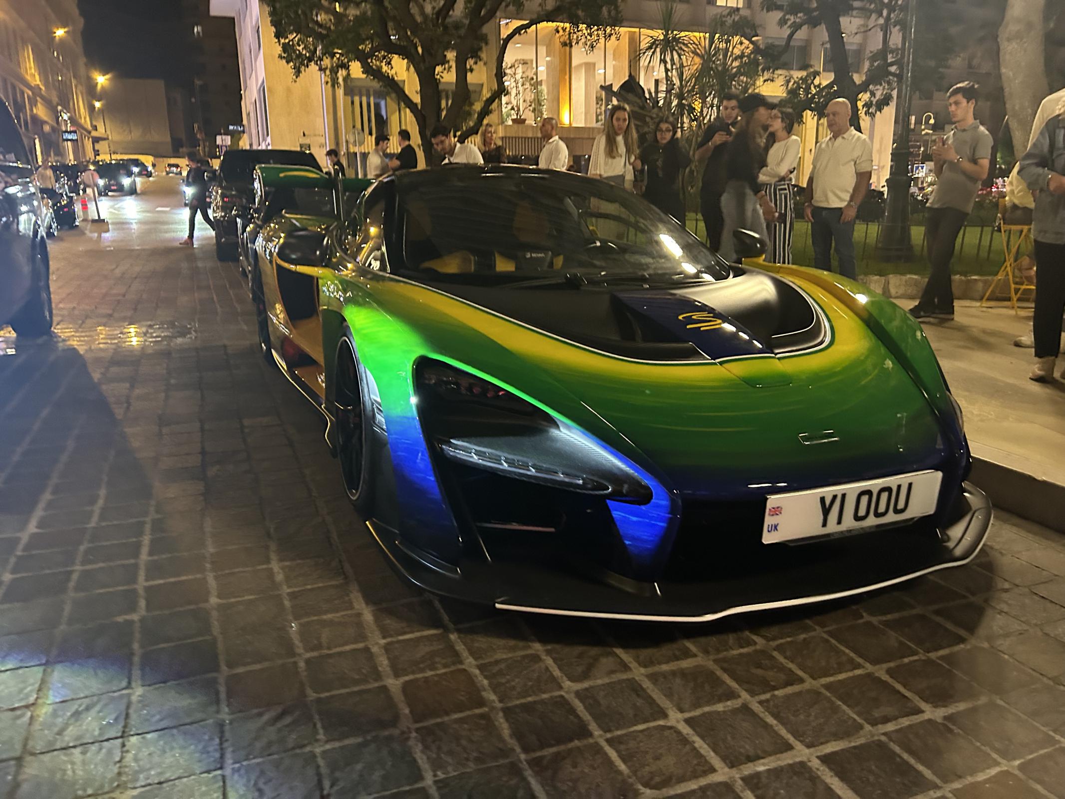 Name:  Senna.jpg
Views: 404
Size:  360.1 KB