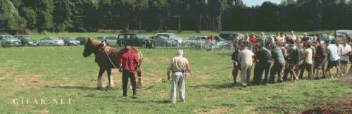 Name:  One horsepower..gif
Views: 3309
Size:  1.95 MB