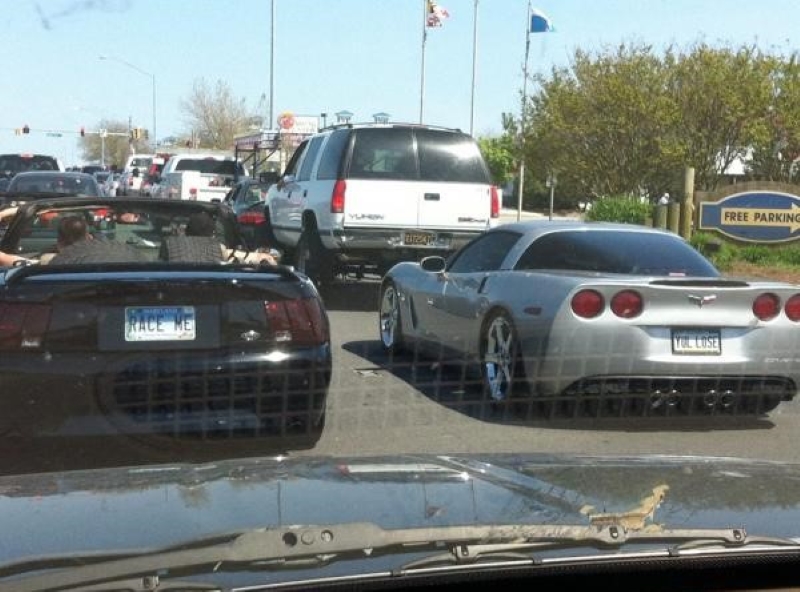 Name:  Plates..jpg
Views: 3357
Size:  273.8 KB