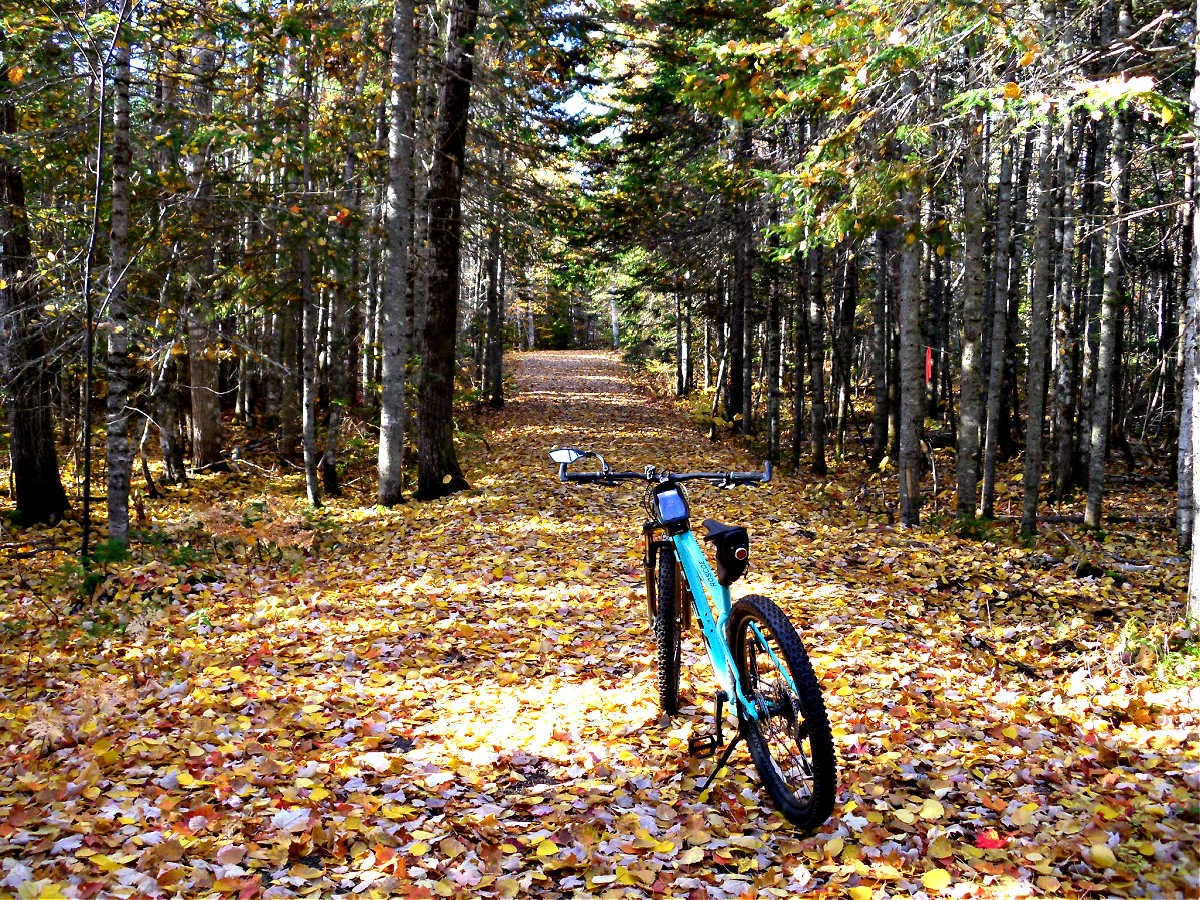 Name:  MTB 1.jpg
Views: 1680
Size:  387.1 KB