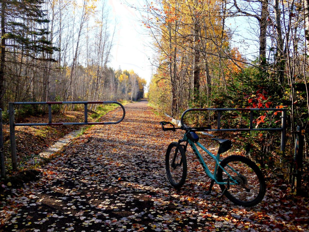 Name:  MTB 2.jpg
Views: 1604
Size:  431.1 KB