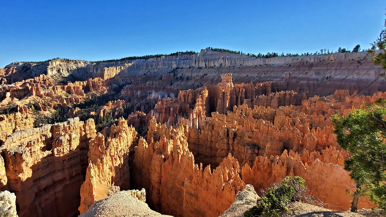 Name:  40-20240925_172430.jpg
Views: 2864
Size:  484.9 KB
