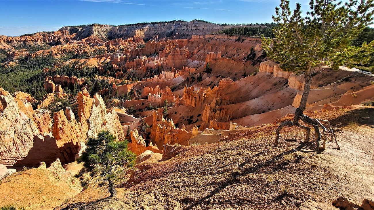 Name:  42-20190917_170334.jpg
Views: 2897
Size:  711.5 KB