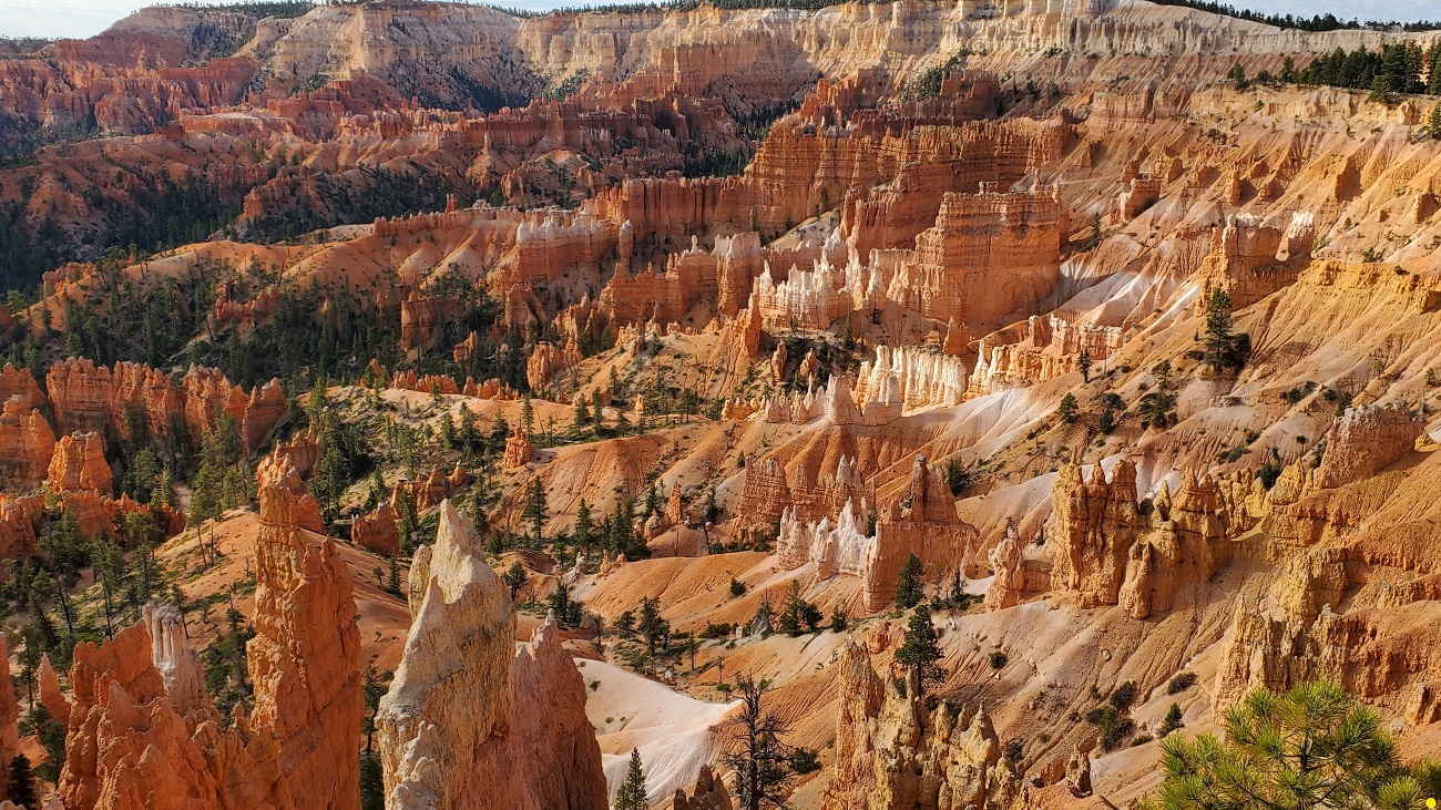 Name:  56-20240926_095119.jpg
Views: 2855
Size:  627.3 KB