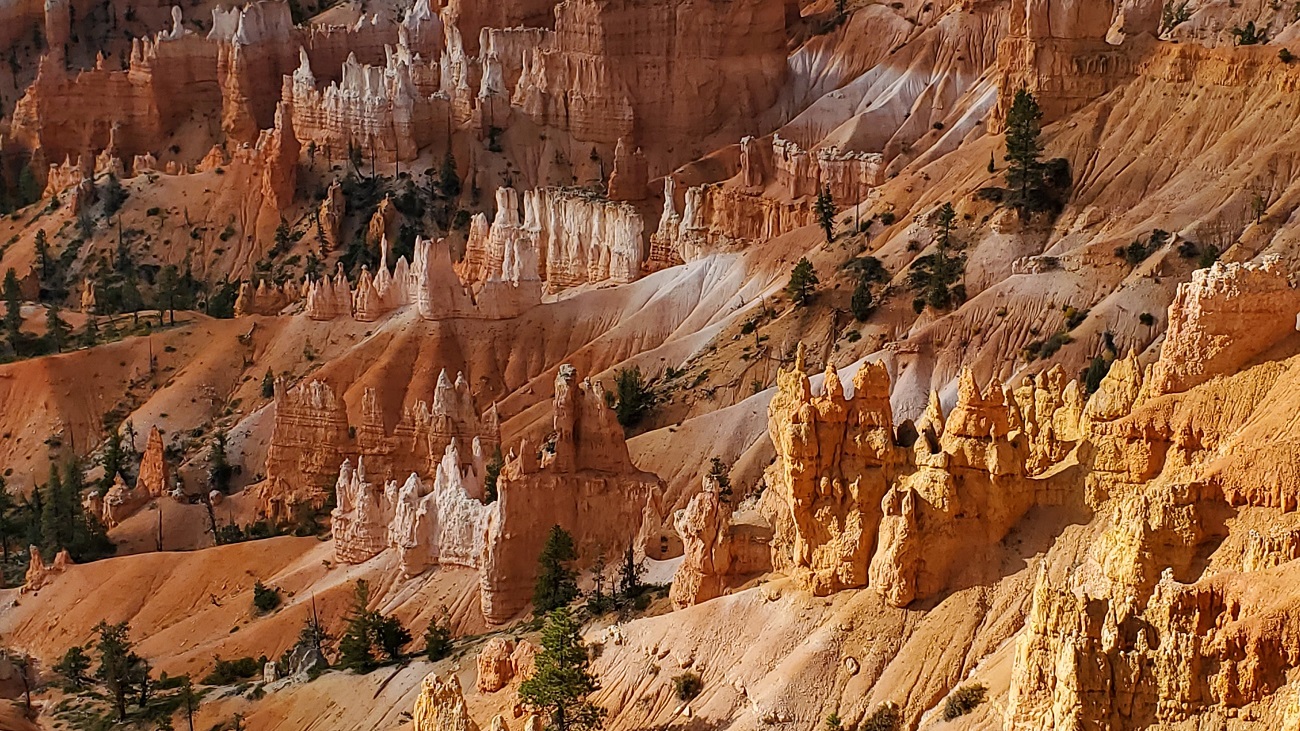Name:  57-20240926_095215.jpg
Views: 2829
Size:  543.2 KB