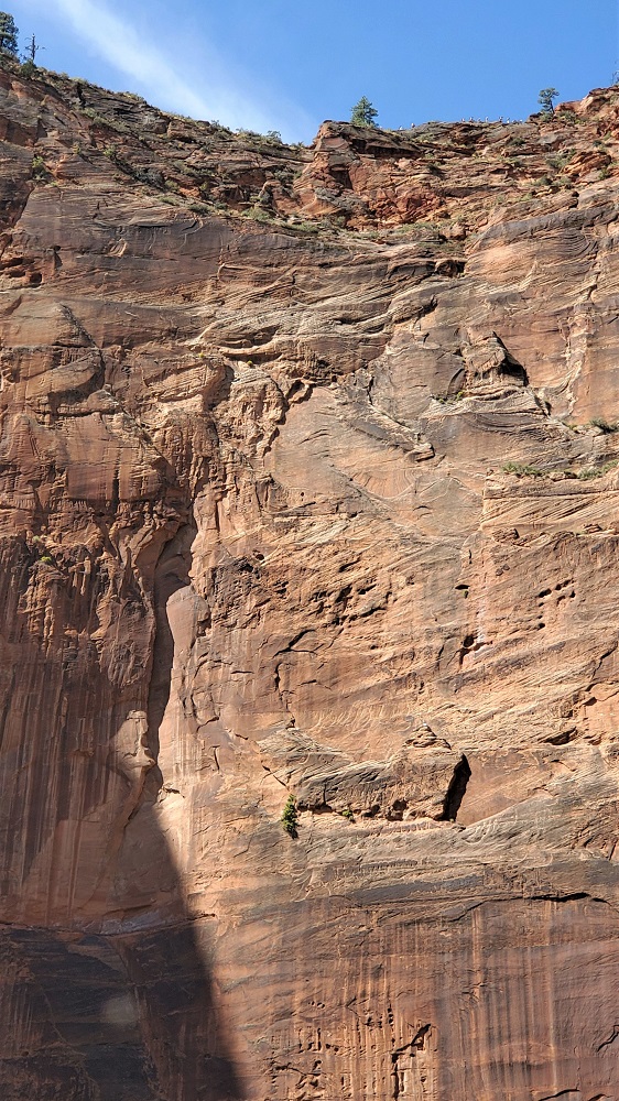 Name:  152-20190923_121144.jpg
Views: 2413
Size:  364.3 KB