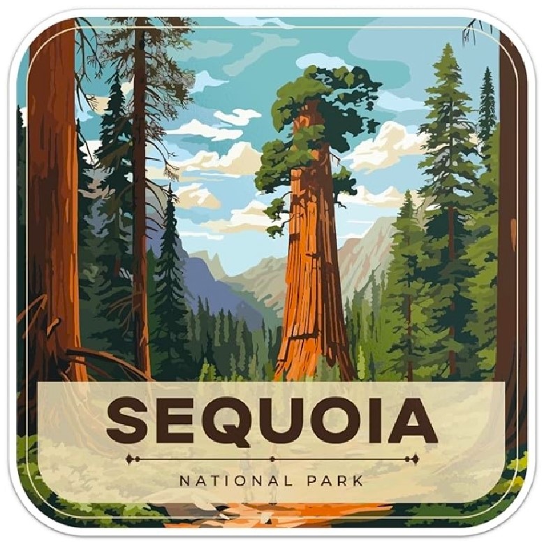 Name:  181-20240930_084400-Sequoia(5).jpg
Views: 2243
Size:  171.4 KB