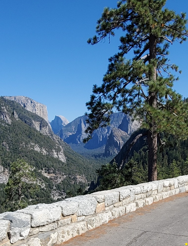 Name:  269-20241002_132516.jpg
Views: 2144
Size:  347.1 KB