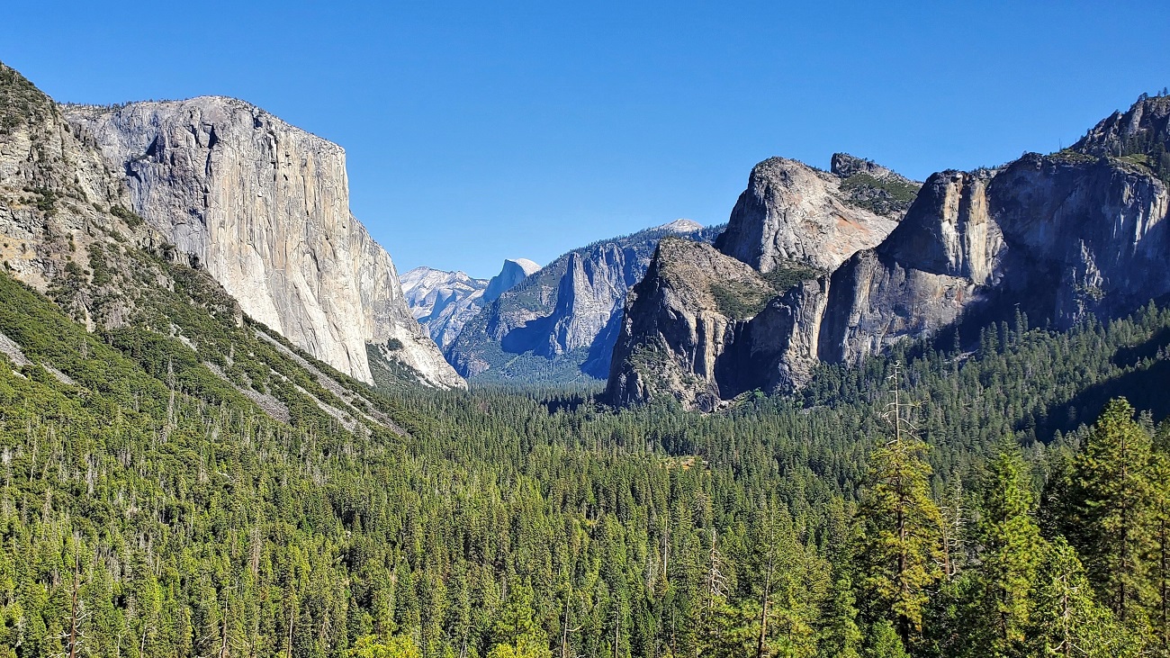 Name:  271-20241002_134017.jpg
Views: 2188
Size:  591.6 KB