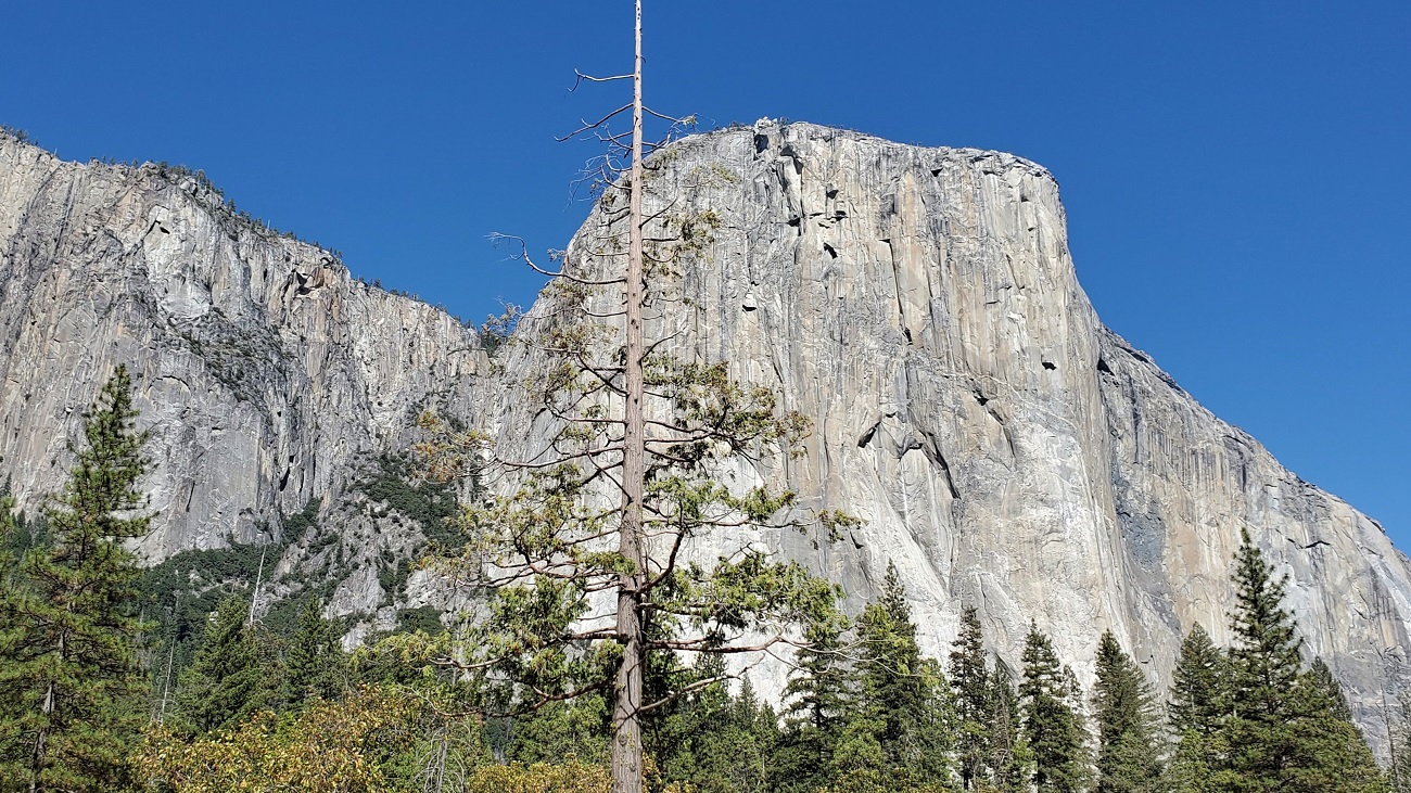 Name:  273-20241002_134907.jpg
Views: 2160
Size:  543.0 KB