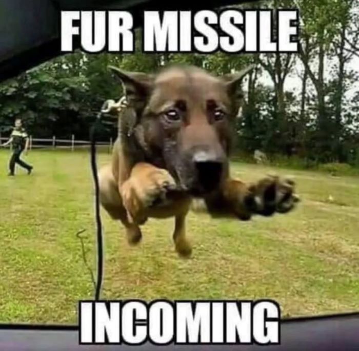 Name:  fur-missile-incoming.jpg
Views: 532
Size:  71.4 KB