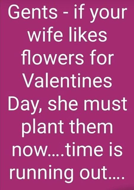 Name:  Valentines.jpg
Views: 504
Size:  40.6 KB