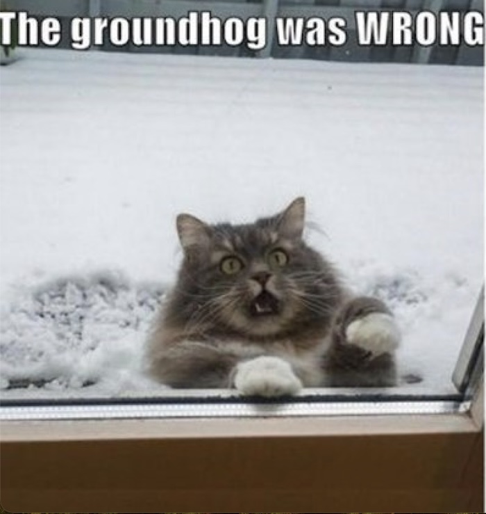 Name:  Groundhog was wrong.jpg
Views: 564
Size:  103.9 KB