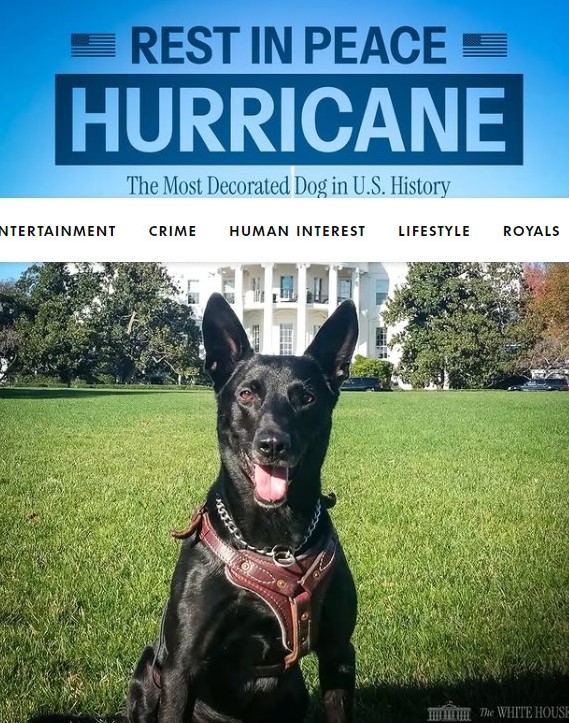 Name:  Hurricane..jpeg
Views: 595
Size:  162.0 KB