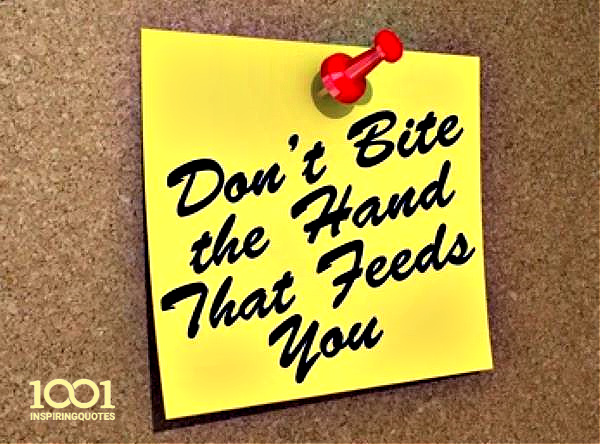 Name:  Bite the hand..jpg
Views: 1567
Size:  138.7 KB