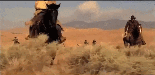 Name:  herding-cats-looks-a-lot-more-fun-than-what-the-metaphor-means.gif
Views: 784
Size:  3.62 MB