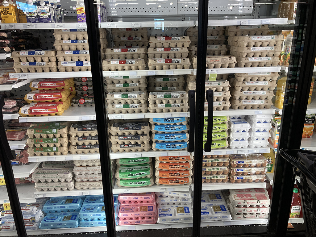 Name:  eggs.jpg
Views: 704
Size:  815.7 KB
