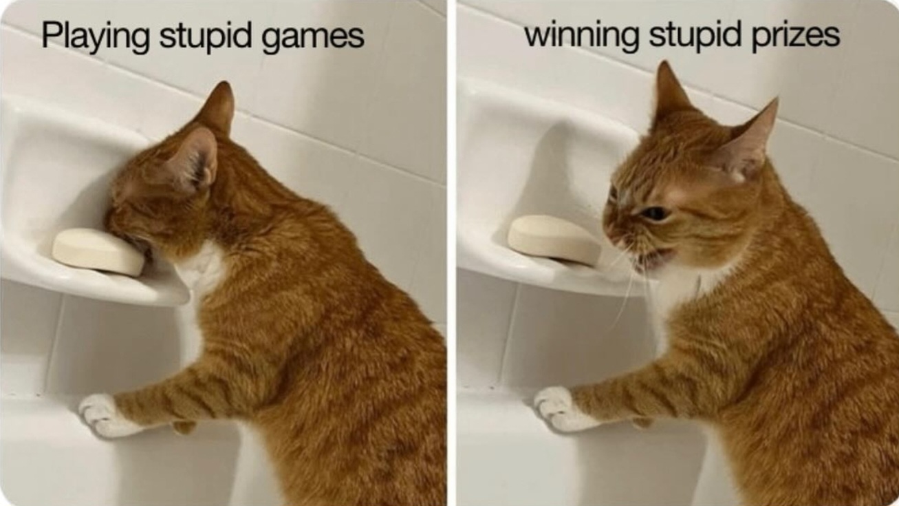 Name:  Cat_Games.jpg
Views: 252
Size:  170.0 KB