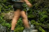 Name:  hiker.png
Views: 80
Size:  42.9 KB