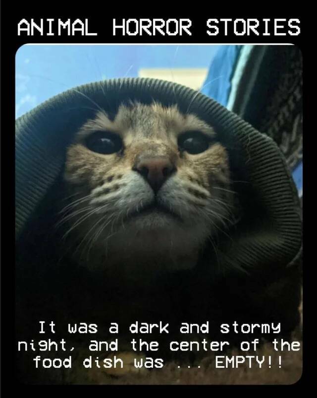 Name:  Story.jpg
Views: 1088
Size:  49.4 KB