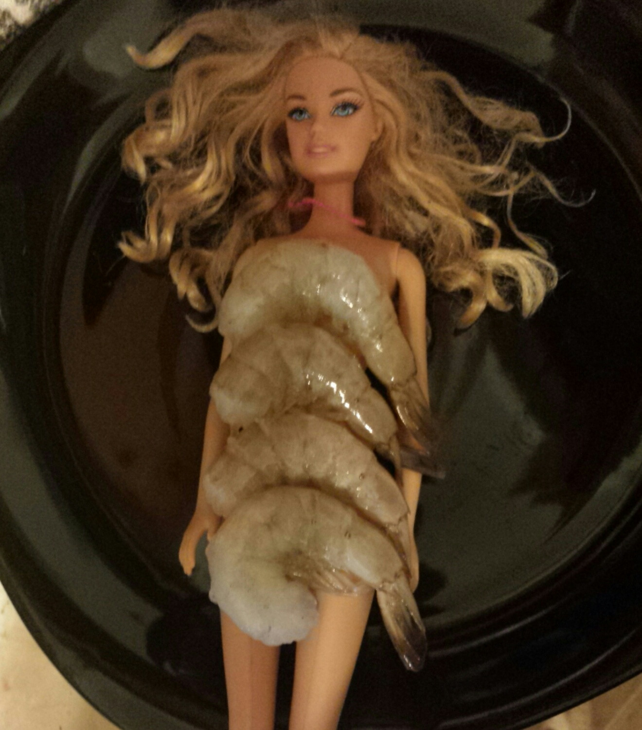 Name:  shrimp-on-barbie.jpg
Views: 218
Size:  349.6 KB