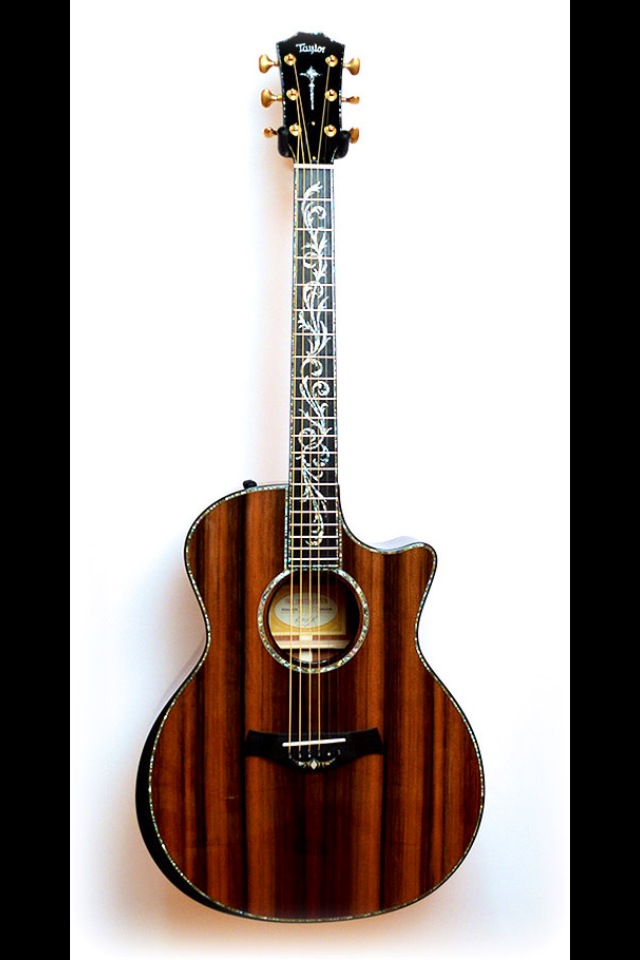 Name:  taylor front 2.JPG
Views: 4042
Size:  83.8 KB